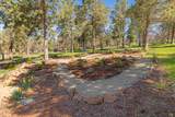 10117 Mourning Dove Drive - Photo 77