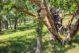 5366 Pioneer Road - Photo 36