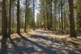 50750 Deer Forest Drive - Photo 1