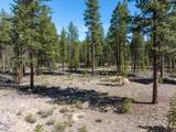 50750 Deer Forest Drive - Photo 18