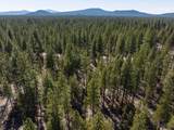 50750 Deer Forest Drive - Photo 19