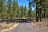 50750 Deer Forest Drive - Photo 2