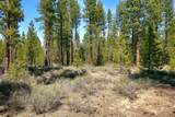 50750 Deer Forest Drive - Photo 3