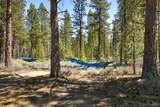 50750 Deer Forest Drive - Photo 6