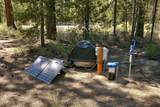 50750 Deer Forest Drive - Photo 8