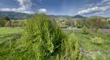 0 Old Highway 99 - Photo 15