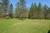 345 Ponderosa Lane - Photo 51
