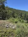 0 Savage Creek - Photo 13