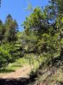 0 Savage Creek - Photo 15