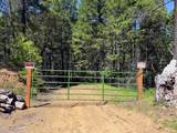 0 Savage Creek - Photo 3