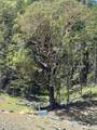 0 Savage Creek - Photo 9
