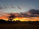3647 U.S. 97 - Photo 41
