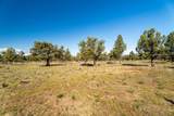 1261 Trail Creek Drive - Photo 11