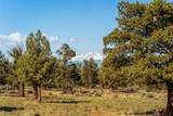 1261 Trail Creek Drive - Photo 6