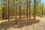 51986 Black Pine Way - Photo 10