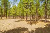 51986 Black Pine Way - Photo 12