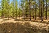 51986 Black Pine Way - Photo 8