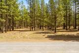 51986 Black Pine Way - Photo 9