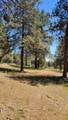 0 Murrelet Road - Photo 6