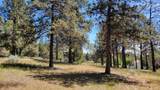 0 Murrelet Road - Photo 8