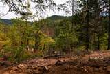 3860 Highway 227 - Photo 11