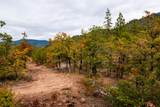 3860 Highway 227 - Photo 12