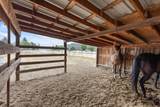 389 Orchard Lane - Photo 45