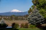 21725 Rickard Road - Photo 6