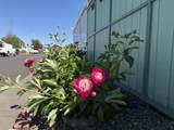 301 Freeman Road - Photo 38