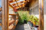22539 Martee Lane - Photo 89