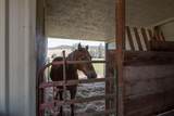 8180 Country Loop - Photo 48