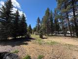 16125 Hawks Lair Road - Photo 34