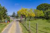 35377 Ede Road - Photo 2