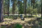 70833 Goosefoot - Photo 5