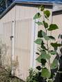 1035 Applewood Street - Photo 35
