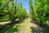 0 55th Avenue - Photo 11