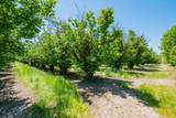 0 55th Avenue - Photo 9