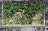 42256 Highway 62 - Photo 3