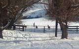 53232 Upper Rhea Creek Road - Photo 26