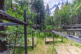 222 Wonder Lane - Photo 41