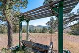 12400 Cotton Tail Lane - Photo 47
