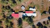 12400 Cotton Tail Lane - Photo 49
