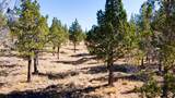 12400 Cotton Tail Lane - Photo 77