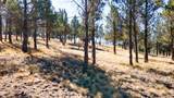 12400 Cotton Tail Lane - Photo 78