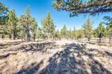 12400 Cotton Tail Lane - Photo 80