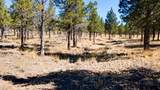 12400 Cotton Tail Lane - Photo 81