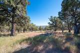 12400 Cotton Tail Lane - Photo 82