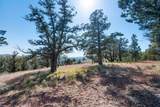 12400 Cotton Tail Lane - Photo 83