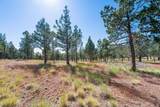12400 Cotton Tail Lane - Photo 84