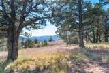 12400 Cotton Tail Lane - Photo 85